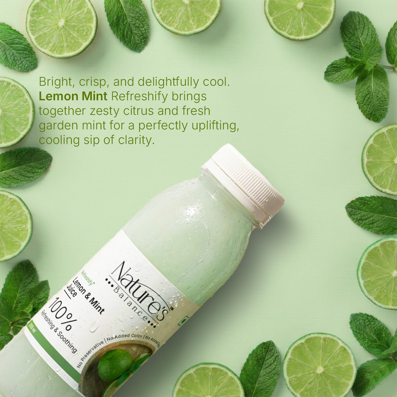 Lemon And Mint Juice